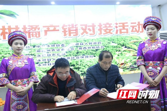 永顺县举行柑橘产销对接活动 现场签订销售2100吨协议