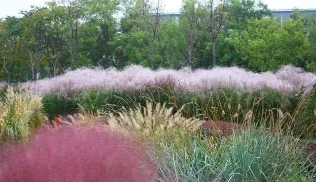  「重启」不能重启的2020，接下来的日子在天津要这样过！