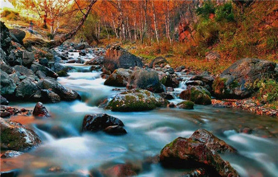 官宣！外交部将向全球推介青海！