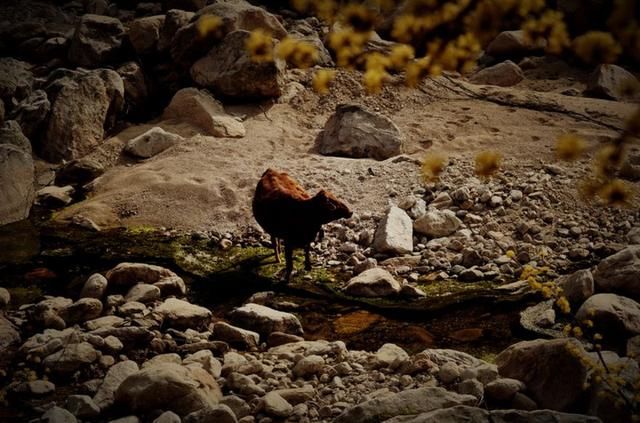 河南这个遗落在深山峡谷中的村落，古朴幽静像世外仙境