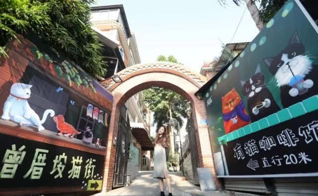 随拍文艺渔村！与灵动女神不期而遇