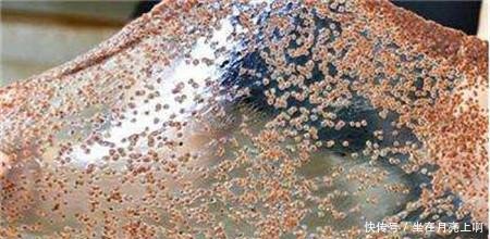 成本不足2元的它被称作“色斑克星”，一周即可还原嫩白肌肤