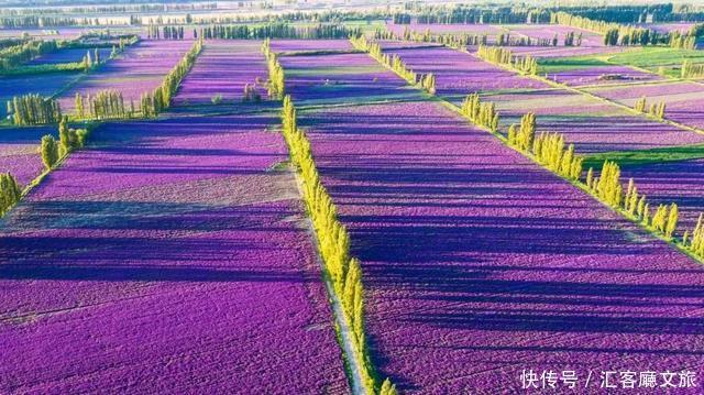  【气候不同略有不同】大美新疆，一个你来了就迈不开腿走的地方！