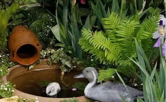  「养花」等我们年纪大了，回乡下，开辟院子，种菜养花