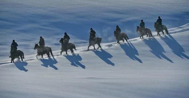 天马踏雪！这个冬天一定要来昭苏感受一下……