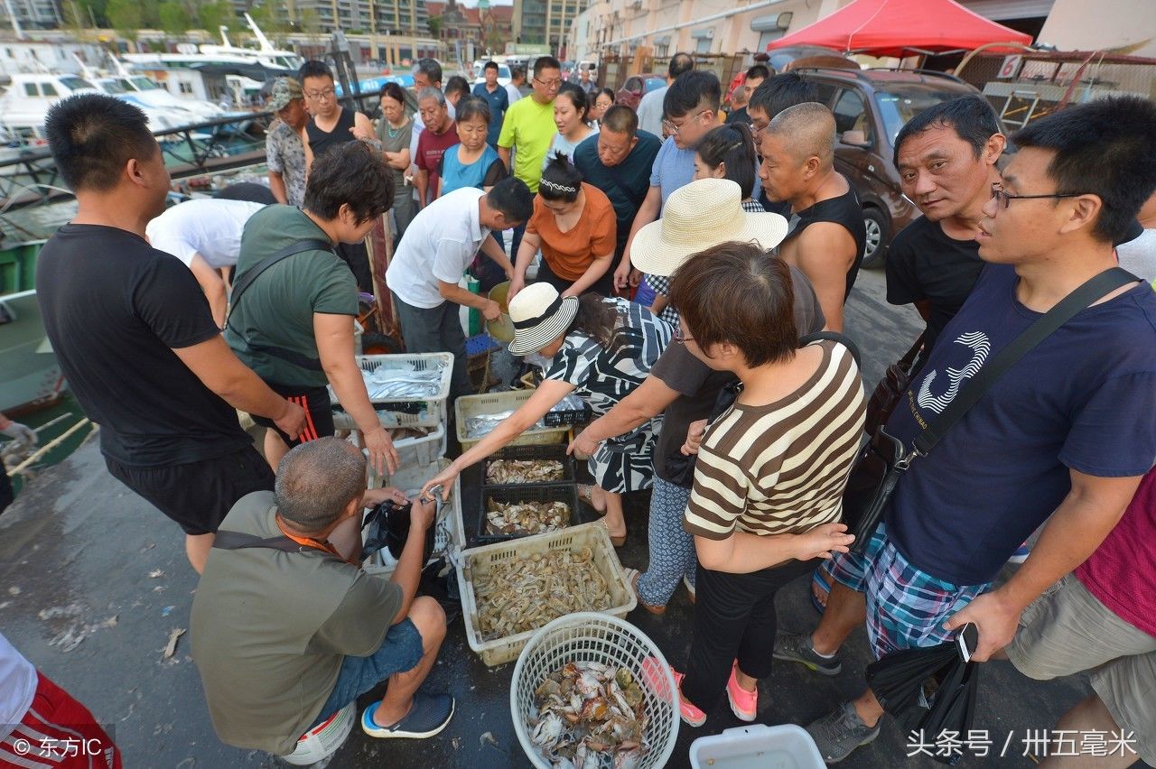 金九银十，青岛有种集体炫富叫开海，鲅鱼一条16斤真诱人