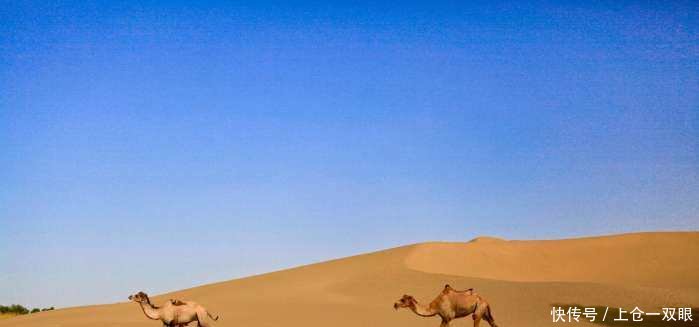 全球最个性的2个村子，一个生活在沙漠中，另一个人人都卖过肾！