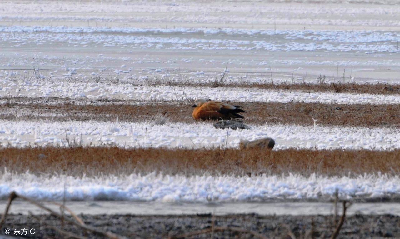 中国陆地海拔最低的城市:-154米,有可能变成第二个“罗布泊”!