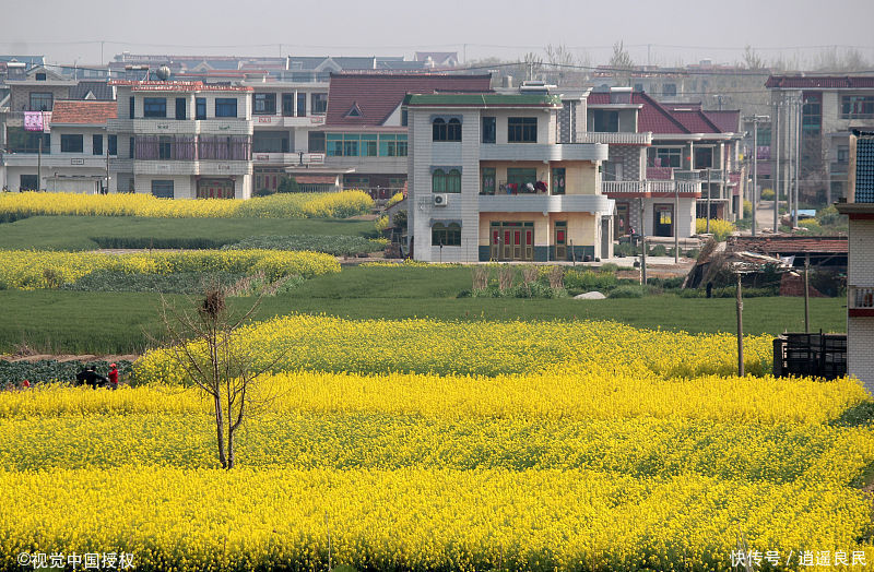 建筑材料大幅涨价，农房又要统一规划，农民纠结该不该自建房？