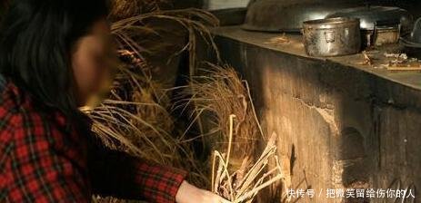 “建议禁止农村柴火做饭”，老农3理由打脸专家，专家怒怼8字！