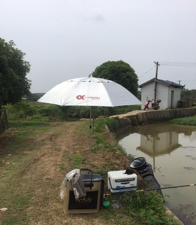  一小■秀一小拔鱼获，亲自动手钓上、剖洗、再黄焖