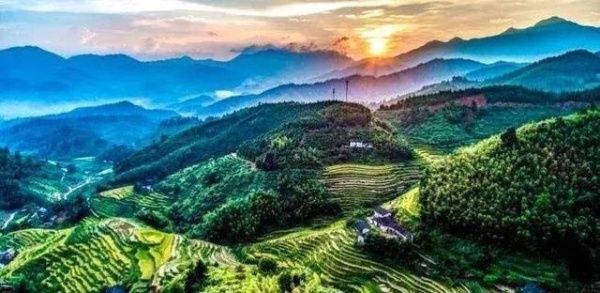 秋收崇义｜金秋奇观 上堡梯田