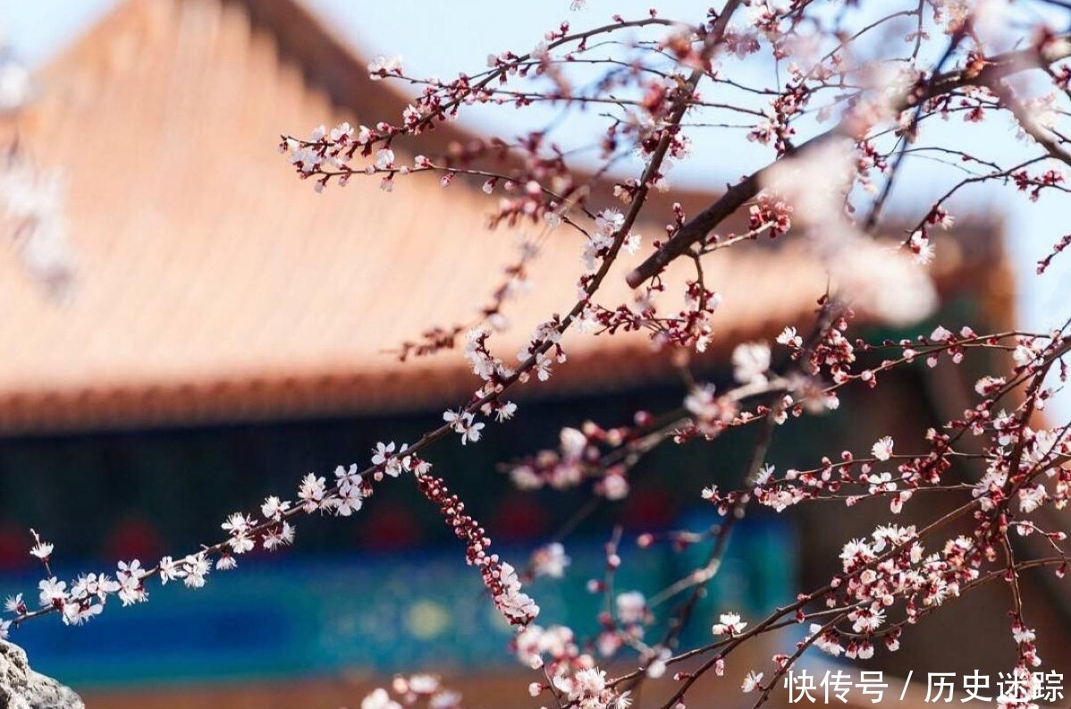 来北京故宫就应冬天来，雪后的美景如约而至，有没有想来打卡呢？