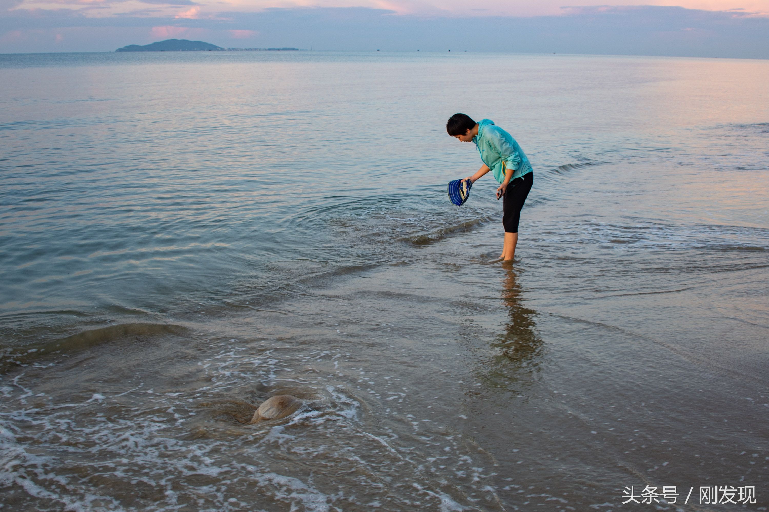 海浪里冲出一只10斤重的海蜇，捡回去做了午餐，吃海鲜省下100块