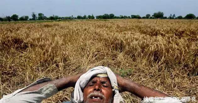 印度、越南农民生活条件大比拼，还是中国农民好啊