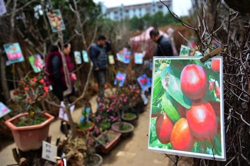  【蜂蜜】在农村逛集市，这几样东西农民最好不要买，老人：谁买谁后悔！