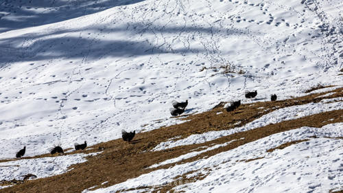 一座佛道共存的寺庙，几位饱经沧桑的信徒
