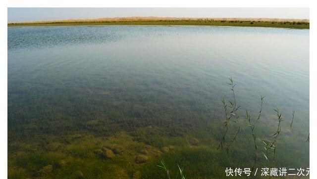 "m":"7696f531f4775831198ae4f2aeef1bd482d9c74e"正值繁殖季节,鲫鱼鲤鱼该怎么钓记住这些方法上大鱼不难