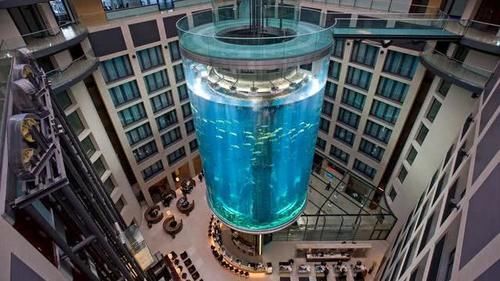 全球最“大”的鱼缸，耗资近1亿人民币，被建在酒店中
