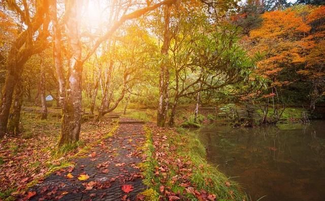 成都出发坐高铁/动车1小时直达！这15个短途旅行圣地等你去打卡（