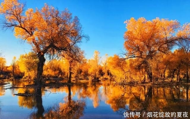 9月来袭！彩林红叶齐绽放，快让国内这6个地方承包整个秋天