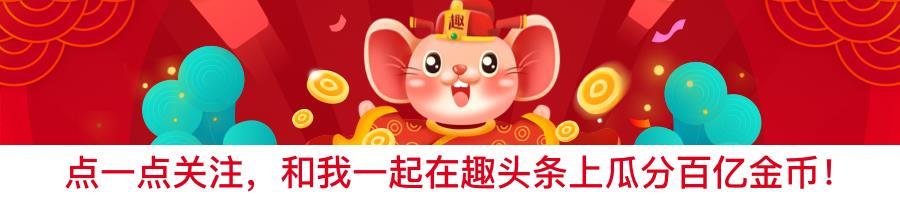 肖战春晚表白谢娜