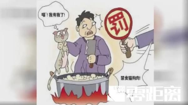 查处@查处！男子诱捕流浪猫卖给饭店当兔肉：它们没主人，不犯法！