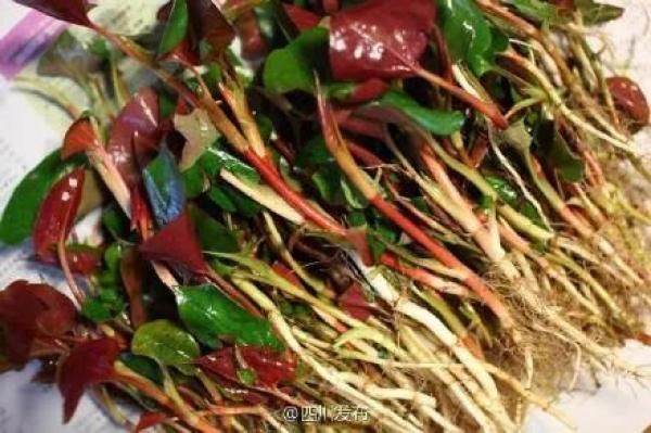  『驰援』这些驰援背后，就是中国底气