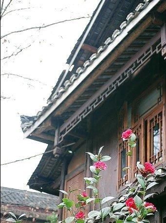 苗寨:跟我云旅游:苗寨