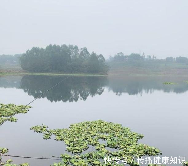  『溶氧量』不喜欢在下雨天钓鱼别怪我没提醒你，下雨天等于“爆护天”