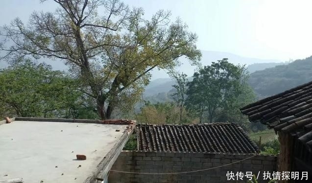  「房子」如果一家人户口已不在村里，还能在宅基地上重新建造房