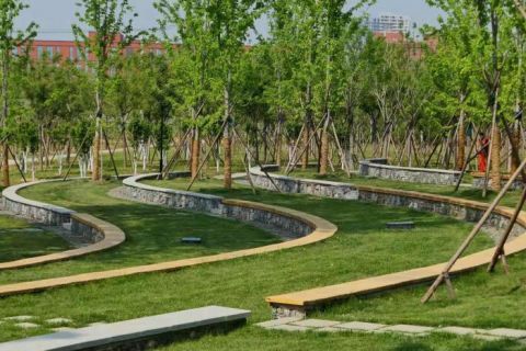  『郊野』视点 | 北京朝阳杜仲公园二期”五一“开园 孙河郊野公园等将陆续开放