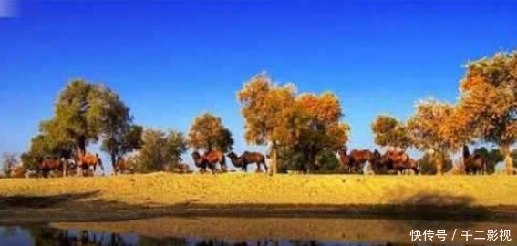 此沙漠下面有片海，是美国五大湖总和的十倍，堪称奇迹