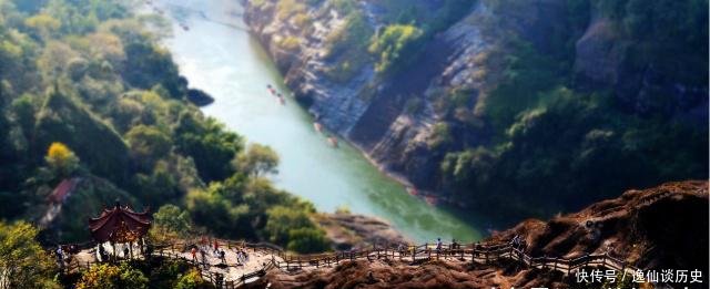  有钱：中国最珍稀的植物，曾一根分枝都能卖20多万，现在有钱也买不到