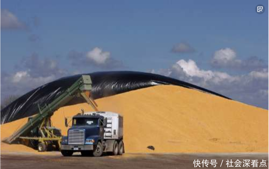 美国为何赔钱也要出口粮食给中国 大家给出了两种答案