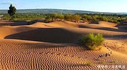 陕西的一个小县城，60年治理600万亩沙漠，如今沙漠变绿洲！