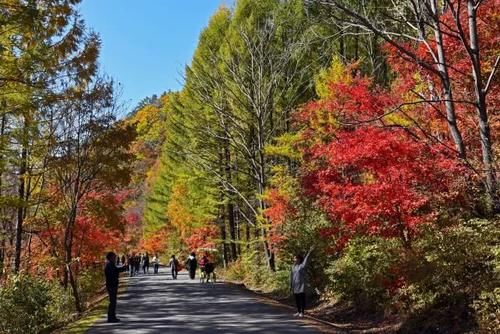 自驾十月最火最红的赏秋线路，本溪枫叶大道，洋湖沟免费更精彩