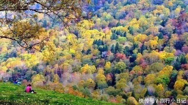 10月赏景胜地，错过一季再等一年