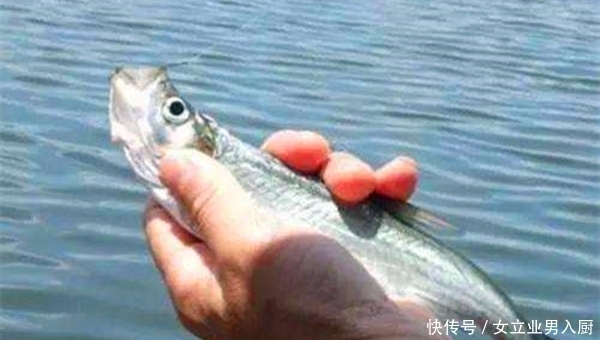 夏季■夏季手竿狂拉翘嘴,就用这种钓法,别不信,一钓一个准!