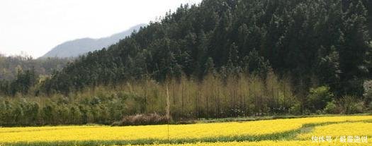 “八纵八横”高铁新时代 安徽高铁带动中部“六兄弟”距离拉更近