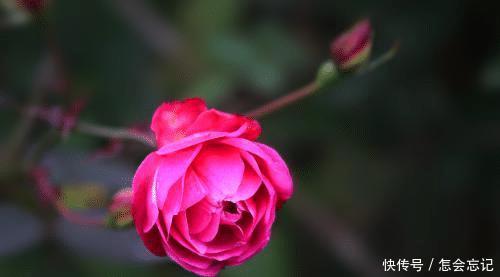 适合■温柔体贴,勤俭持家,婚后适合在家里相夫教子的四大星座女