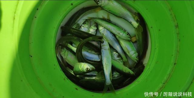 湖南临湘市，团湾水库，空军后的感受