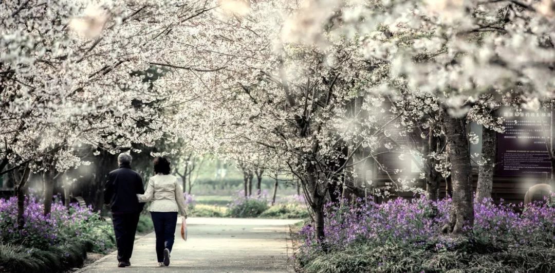 重要提醒！你的养老将迎来4大变化，不知道就亏大了！