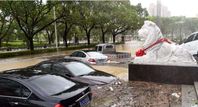 浙江的一场台风暴雨，彻底揭开了二手车市场的遮羞布！