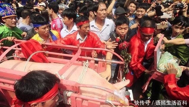  #麦苗#农村老话：秋分前十天不早，秋分后十天不晚，说的是什么