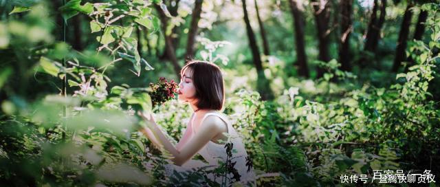 这部纪录片央视发力了,每一帧都可以当壁纸,BBC也无法超越