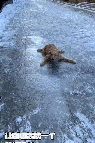 长春天气大反转！明三九，但是天儿竟然一言不合就升温