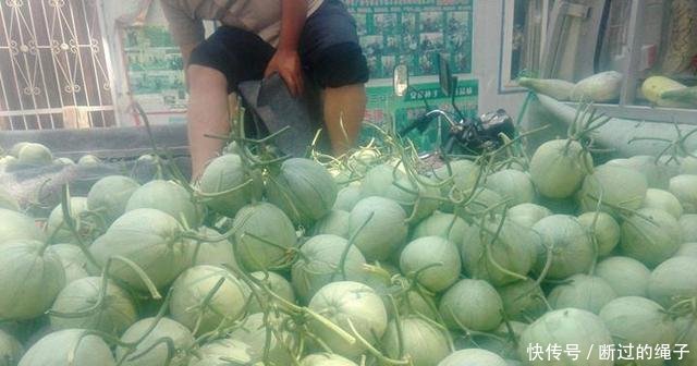 农民放弃西瓜种植改种它，亩产4500公斤，收购价每公斤2元