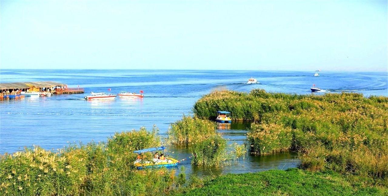 我国最大的内陆淡水湖，十年间减少一半，有“瀚海明珠”之称