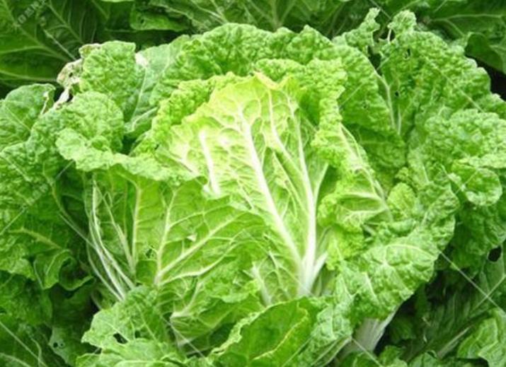  「用人」老百姓快看，农民用人的粪尿浇菜，专家说不卫生，你怎